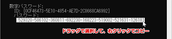 BitLocker 回復キーのコピー