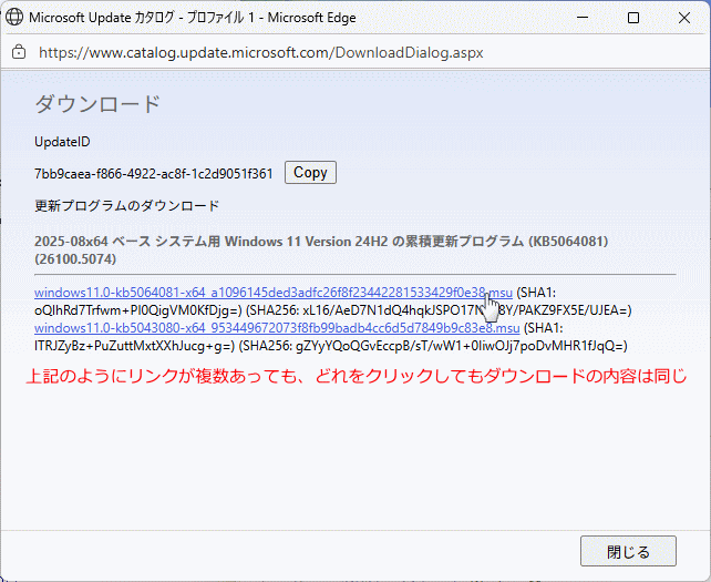 Microsoft Update カタログから更新プログラムをダウンロードする画面
