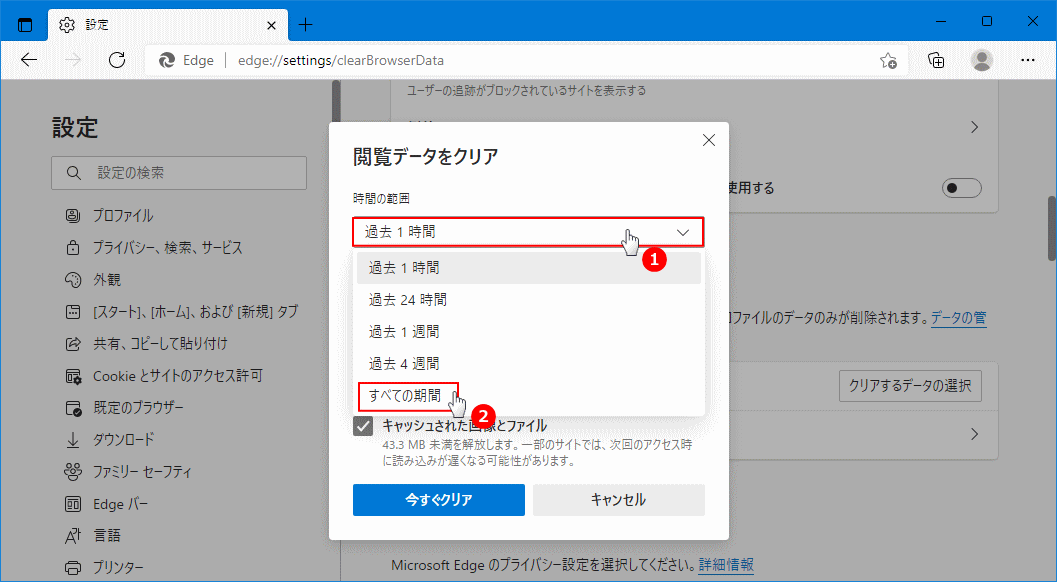 全ての期間の Edge のデータ削除する設定