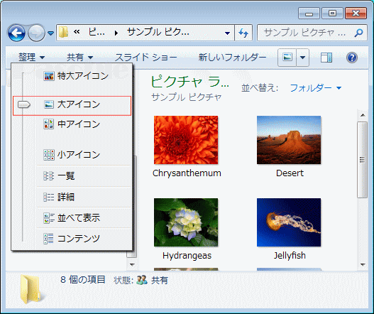 フォルダー 表示方法「詳細オプション」「大」