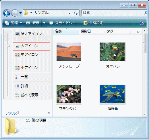 フォルダー 表示方法「詳細オプション」「大」