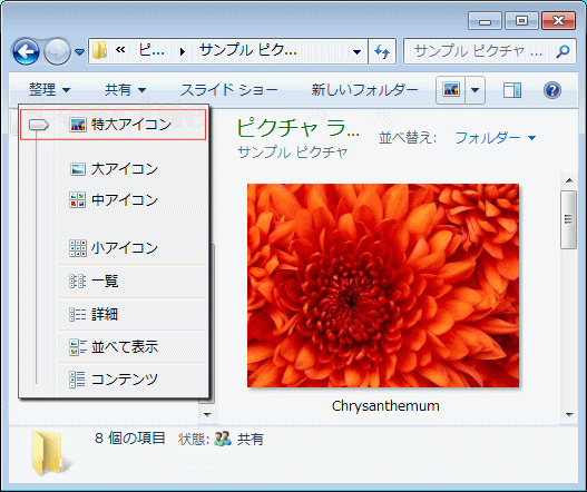 フォルダー 表示方法「詳細オプション」「特大」