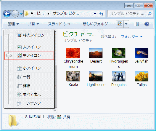 フォルダー 表示方法「詳細オプション」「中」
