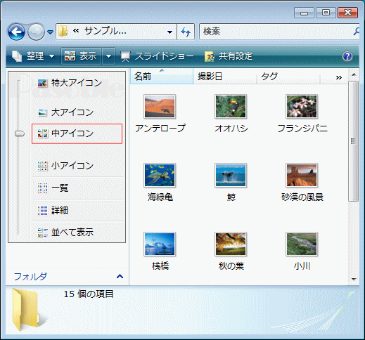 フォルダー 表示方法「詳細オプション」「中」