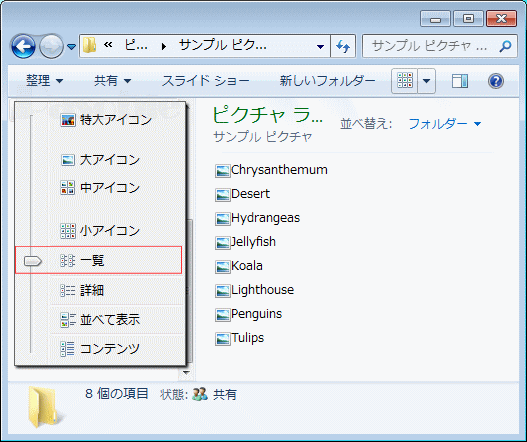 フォルダー 表示方法「詳細オプション」「一覧」