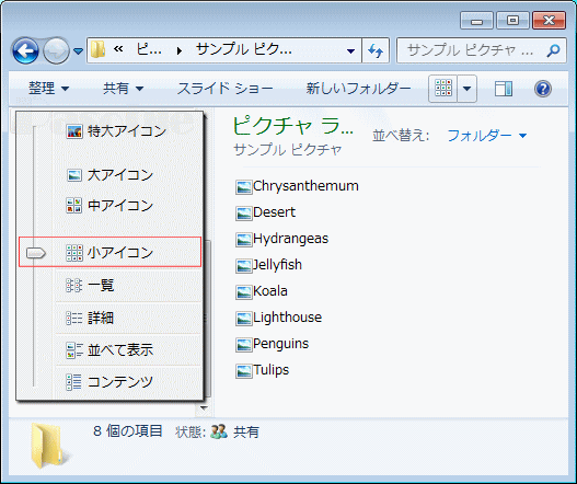 フォルダー 表示方法「詳細オプション」「小アイコン