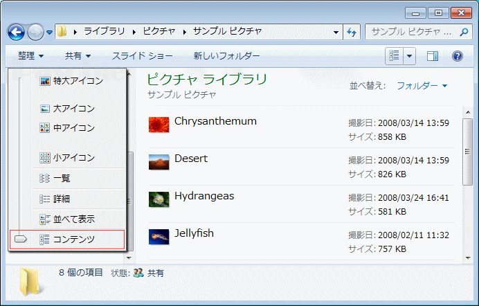 フォルダー 表示方法「詳細オプション」「コンテンツ」