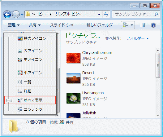 フォルダー 表示方法「詳細オプション」「並べて表示」