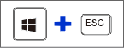 Windows ロゴ + Esc