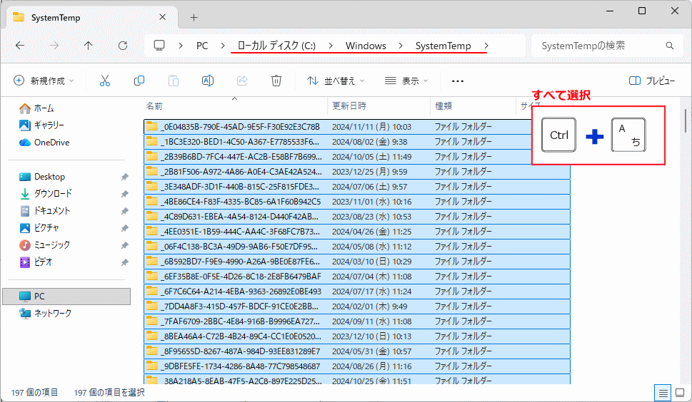 windows11 SystemTemp内のファイルをすべて選択状態にする