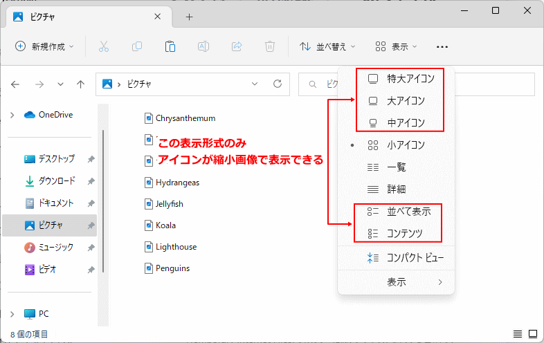 Windows11 ファイルアイコンの表示形式を選択