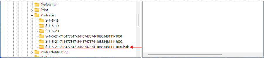 Windows11 本来のユーザのプロファイルを確認