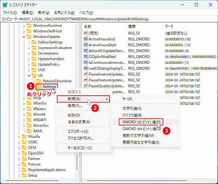 Windows11 レジストリの自動更新管理場所に値を追加する