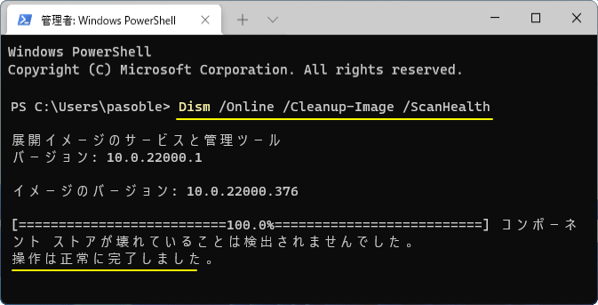 Windows11 システムイメージのスキャンの終了