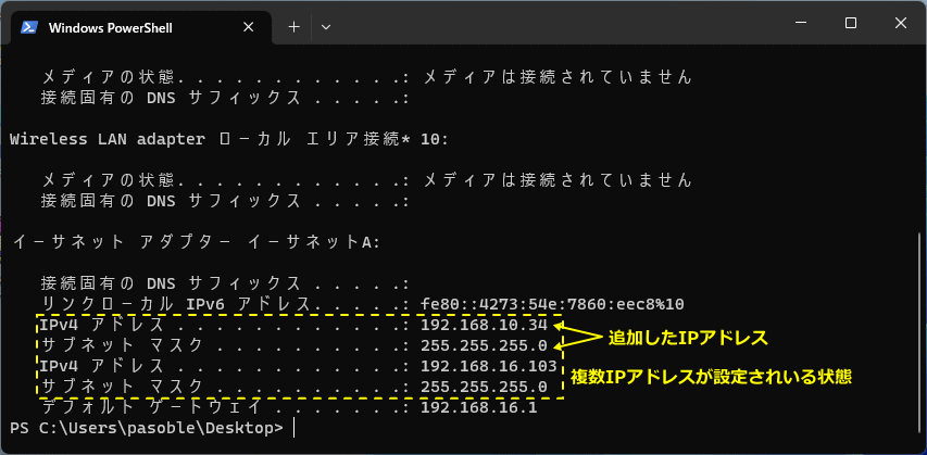 Windows11 ターミナルで複数IPアドレスの確認